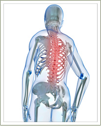 spinal correction